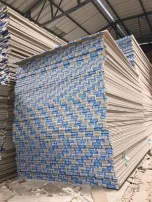 Gypsum Ceiling Board